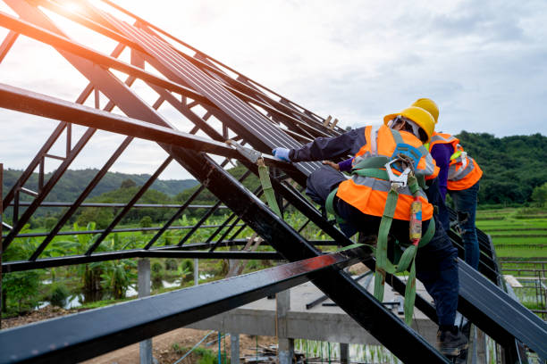 Best Local Roofing Companies  in Tipton, IN