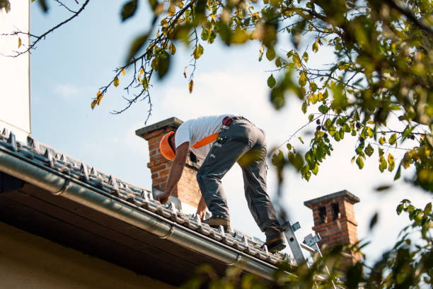 Best Residential Roofing Contractor  in Tipton, IN