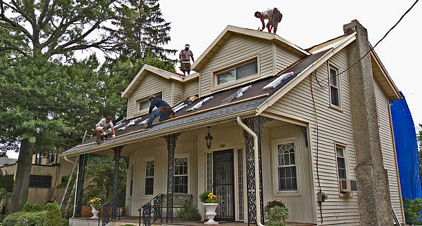 Best Storm Damage Roof Repair  in Tipton, IN